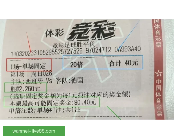 世界杯在线投注攻略 提升投注技巧赢取大奖的必备指南